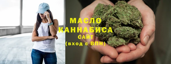 дмт Билибино