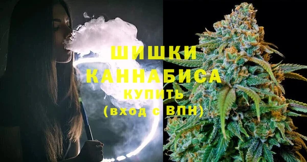 таблы Осинники