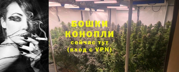 таблы Осинники