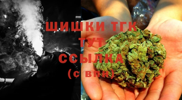 ГАЛЛЮЦИНОГЕННЫЕ ГРИБЫ Беслан
