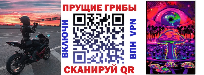 продажа наркотиков  Ардон  Псилоцибиновые грибы мицелий 